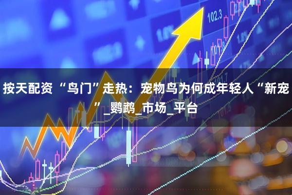 按天配资 “鸟门”走热：宠物鸟为何成年轻人“新宠”_鹦鹉_市场_平台