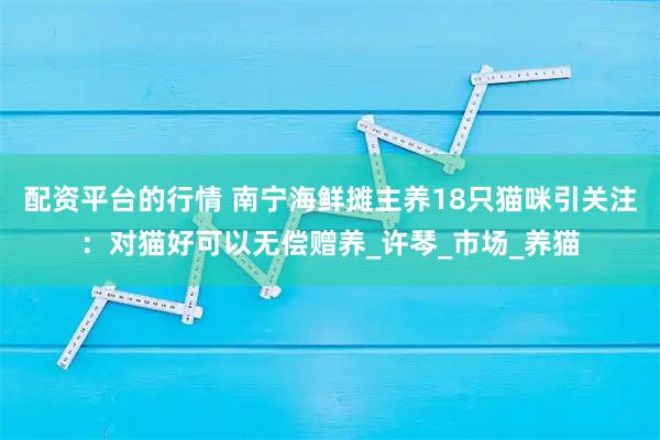 配资平台的行情 南宁海鲜摊主养18只猫咪引关注：对猫好可以无偿赠养_许琴_市场_养猫